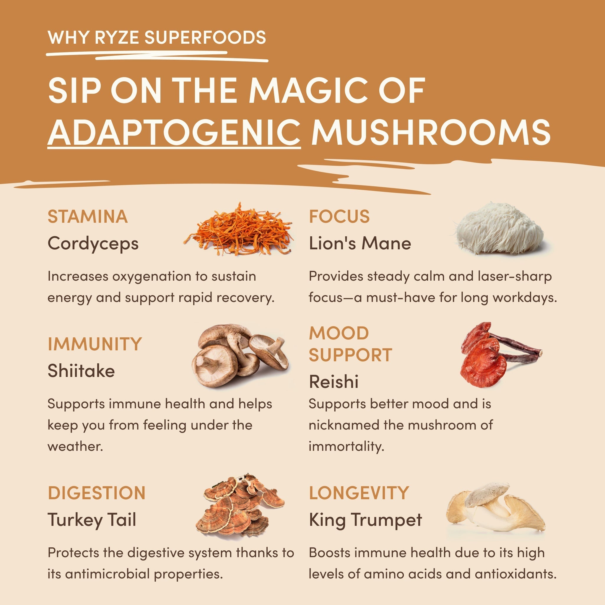 Mushroom Overnight Oats (14 Servings) - Sip Into Morning