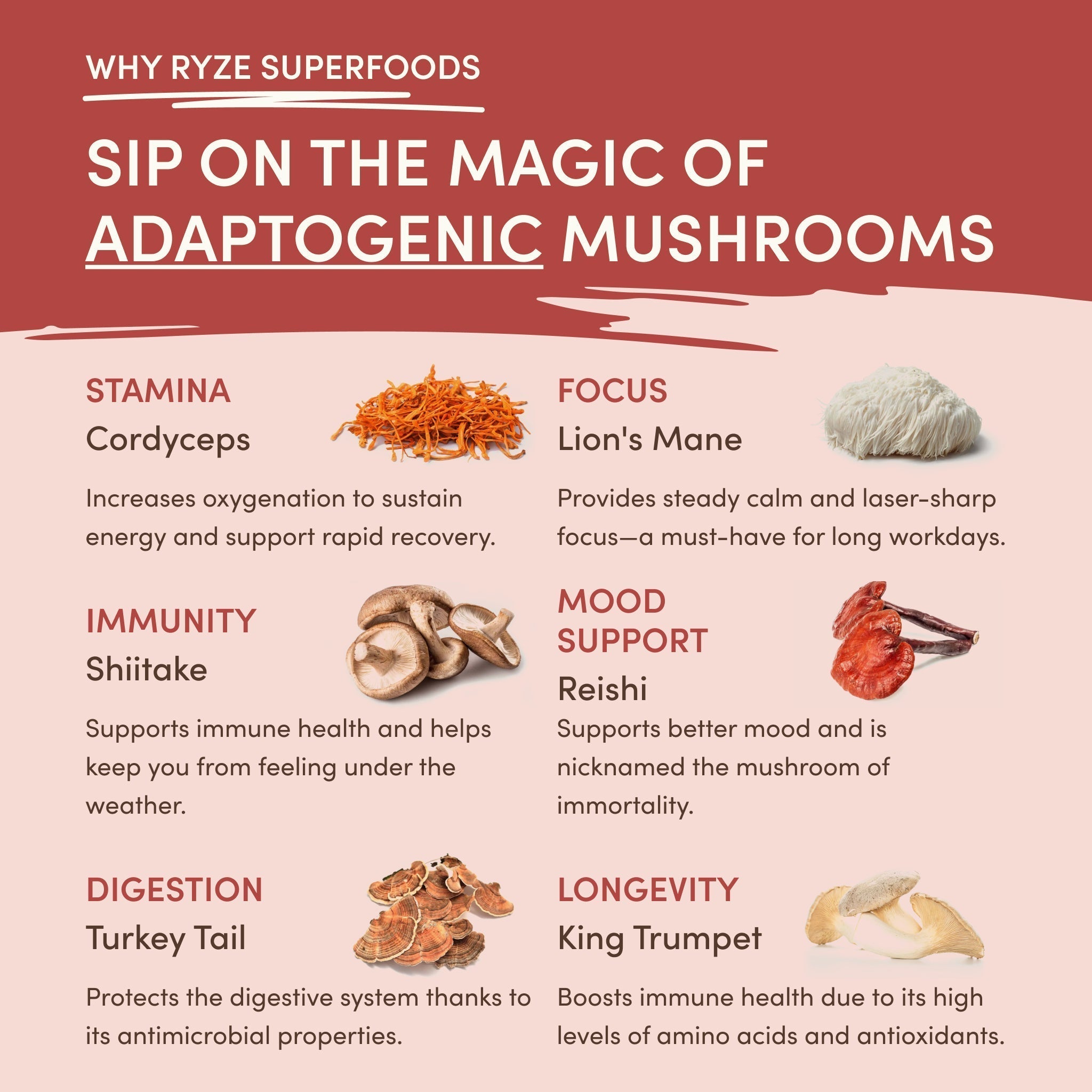 Mushroom Chai (20 Servings) - Sip with Purpose