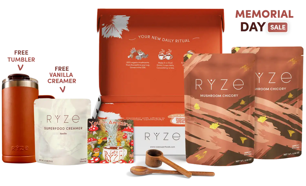 Chicory Starter Kit